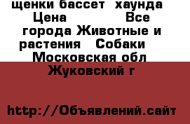 щенки бассет- хаунда › Цена ­ 20 000 - Все города Животные и растения » Собаки   . Московская обл.,Жуковский г.